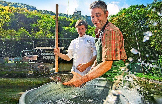 Fisch aus eigener Zucht ist die Spezialität von Küchenchef Michael Stoll (im Bild links).<span class='image-autor'>Foto: /Restaurant Rössle</span>