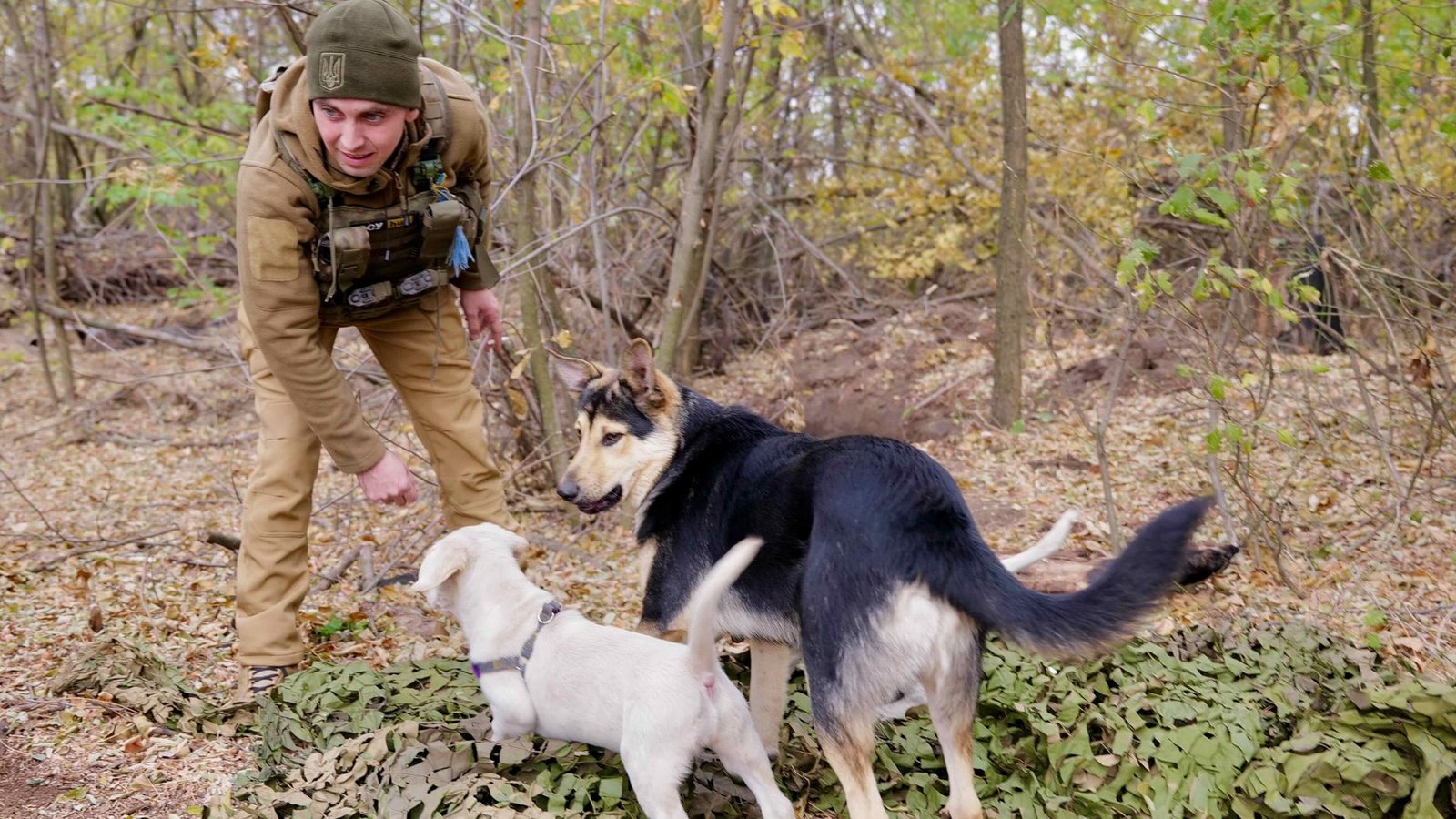 Der Soldat Dima spielt mit den Hunden.Foto: Till Mayer Der Soldat Dima spielt mit den Hunden.Foto: Till Mayer