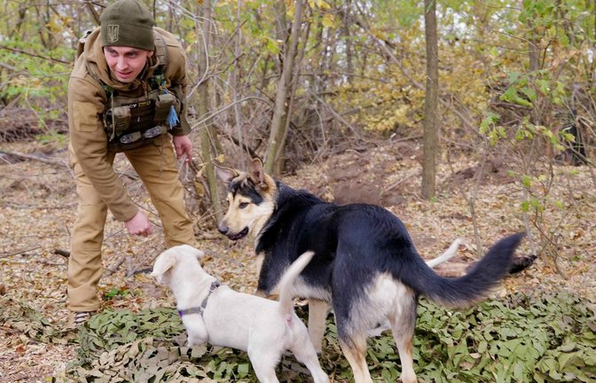Der Soldat Dima spielt mit den Hunden.<span class='image-autor'>Foto: Till Mayer</span>