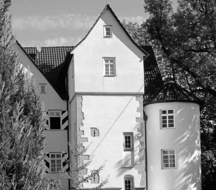 Schloss Rieth Die Zusammenhänge zum Schloss