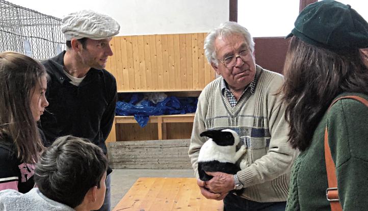 Paul Shulton Rapp Hervorragende Noten für Tauben, Kaninchen und Hühner