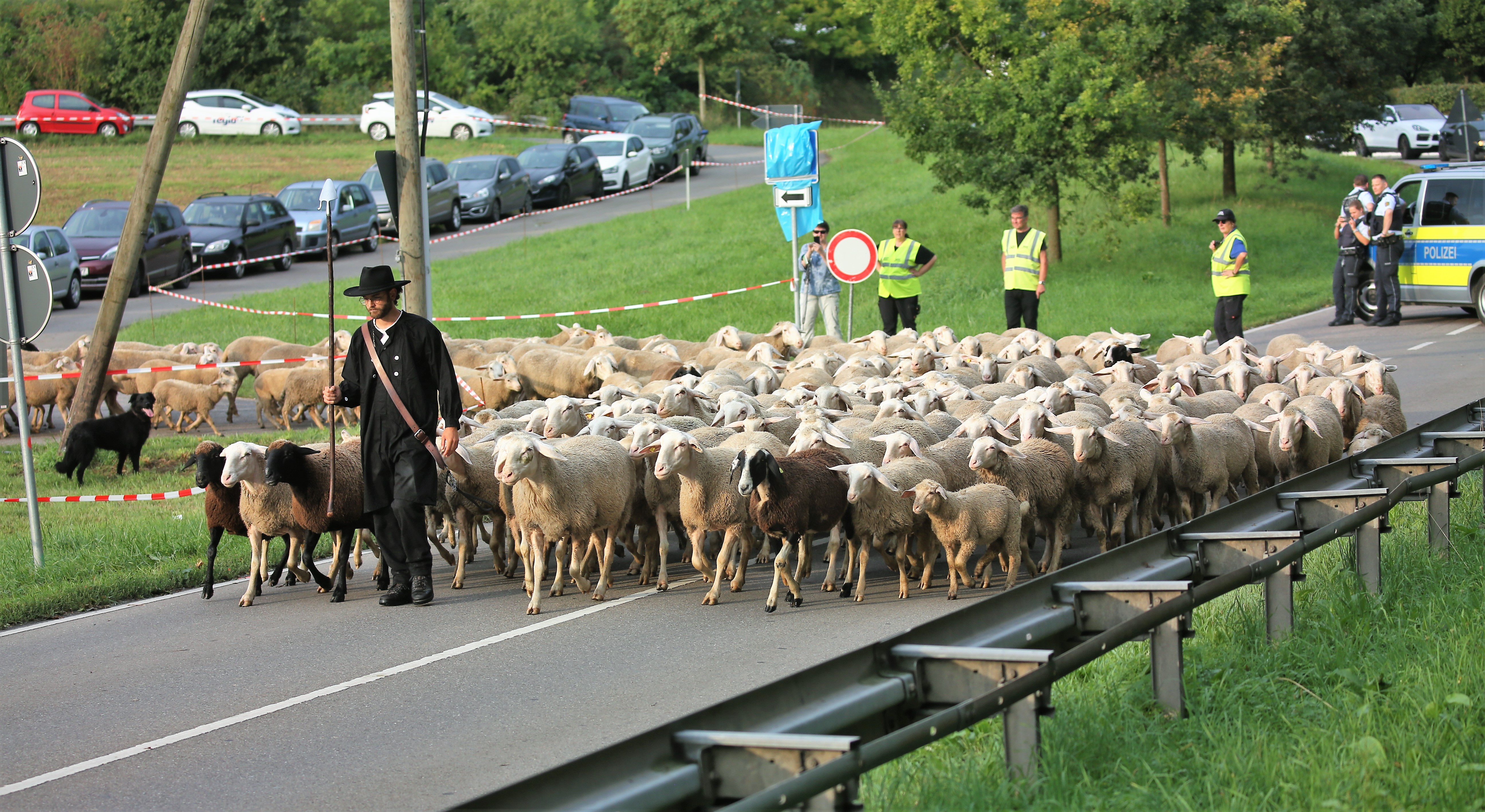 Das Leistungshüten am Freitagmorgen entfällt zwar, trotzdem wird auf dem Hütegelände etwas für die Gäste geboten. Foto: Küppers Das Leistungshüten am Freitagmorgen entfällt zwar, trotzdem wird auf dem Hütegelände etwas für die Gäste geboten. Foto: Küppers