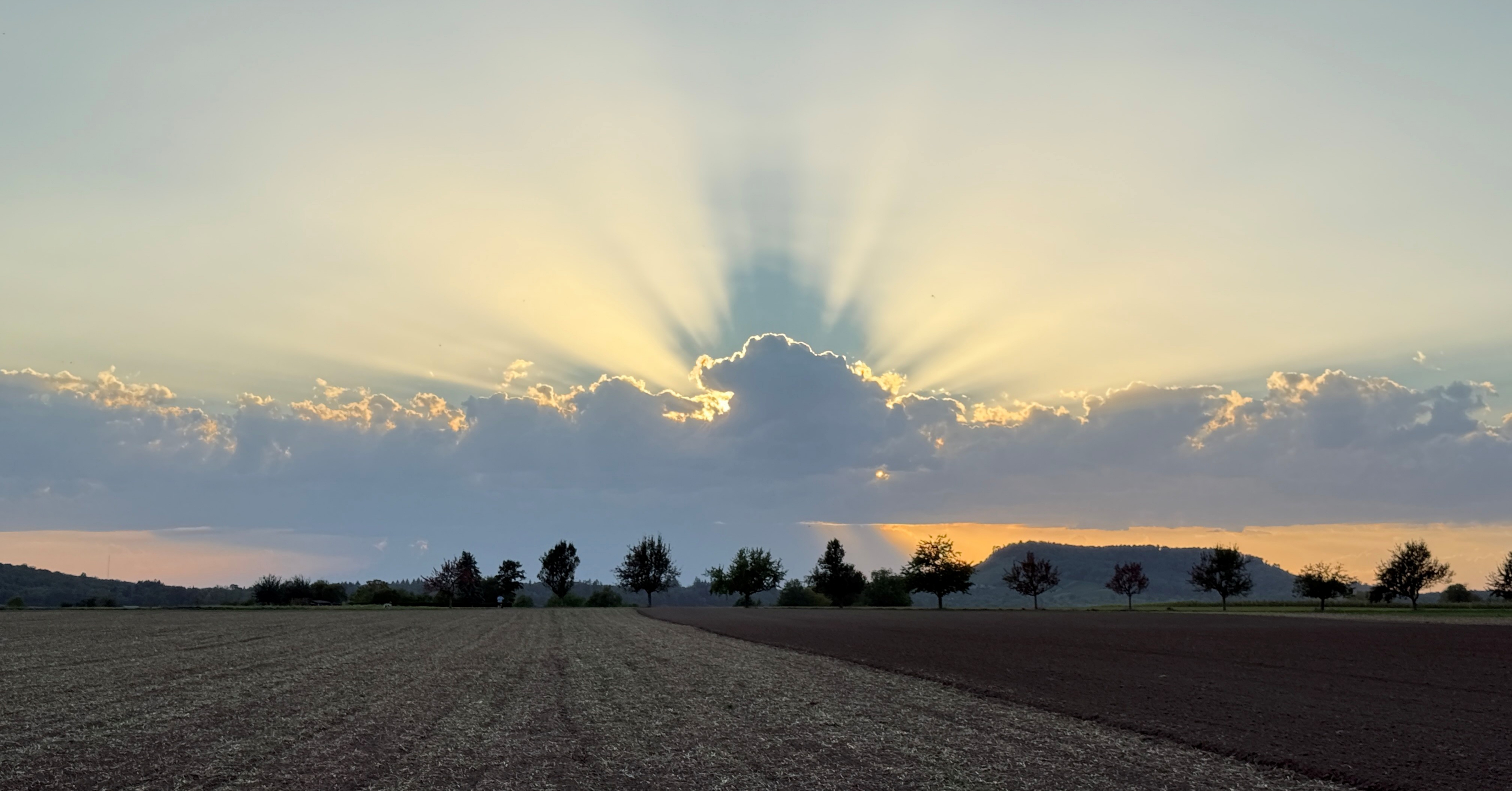 „Heute gesehen zwischen Sersheim und Hohenhaslach. Einfach schön!“, schreibt Kolja Cords zu seinem Foto – da kann man nicht widersprechen. „Heute gesehen zwischen Sersheim und Hohenhaslach. Einfach schön!“, schreibt Kolja Cords zu seinem Foto – da kann man nicht widersprechen.