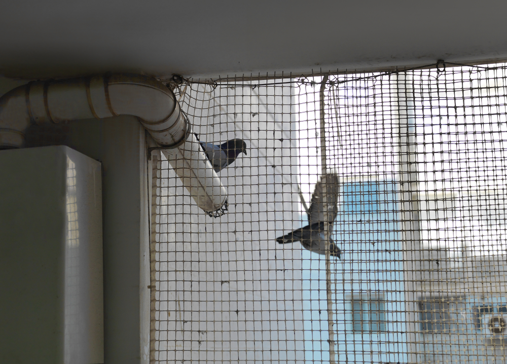 Tauben und Vögel vom Balkon fernhalten
